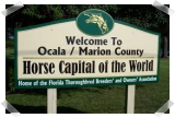 Ocala Horse Capital of the World